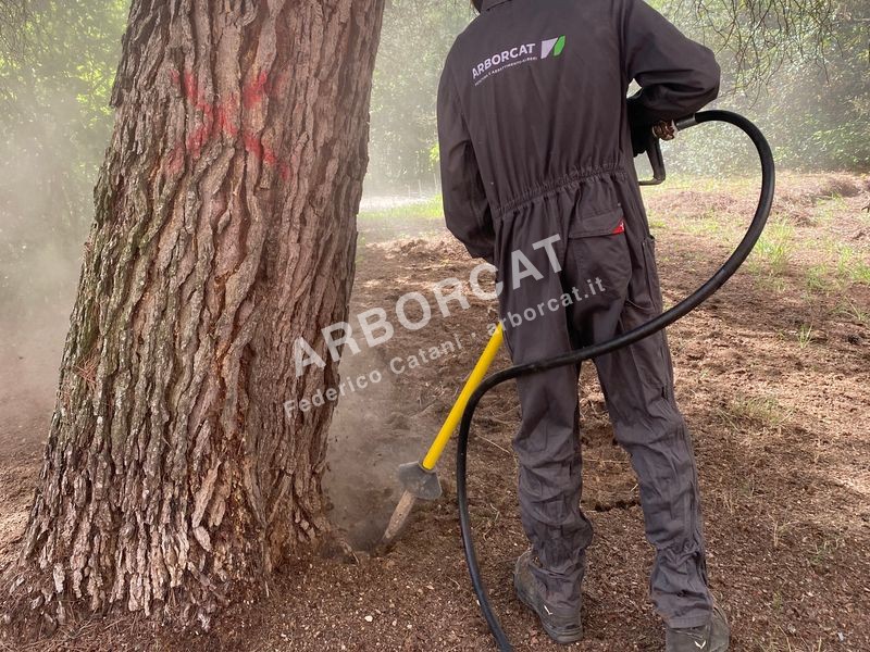 Intervento di scavo delicato con AirSpade Arborcat
