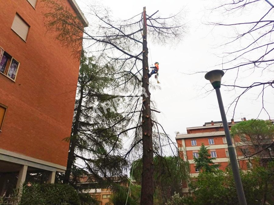 Intervento di precisione tra edifici residenziali
