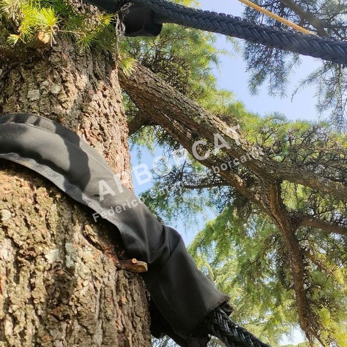 Lavoro di cablaggio alberi – Arborcat