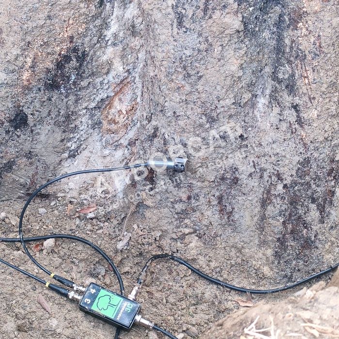 Rilievo stabilità albero 1