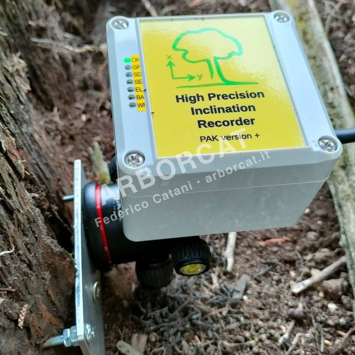 Rilievo stabilità albero 3