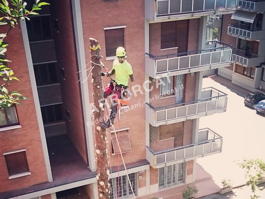 Smontaggio controllato in tree climbing tra condomini